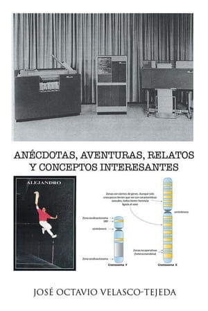 b3e56568-a32c-44e5-b49d-b48584992020