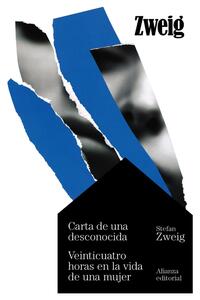Vista Frontal