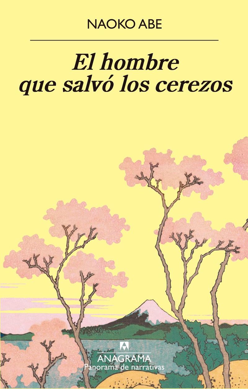 Vista Frontal