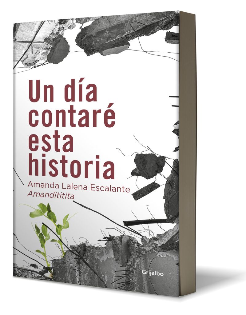 Vista Alterna 2