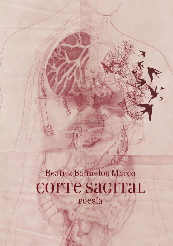 88bcff92-9d50-460f-869e-be703b3939f3