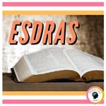 fe01b25a-3e8f-43db-89b6-935c64a5a4e6