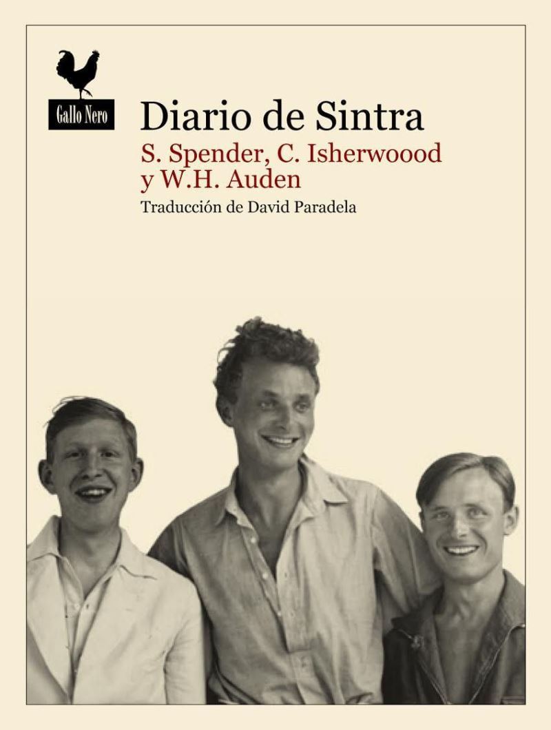 25bfafd8-9568-492c-92c1-96f780238682