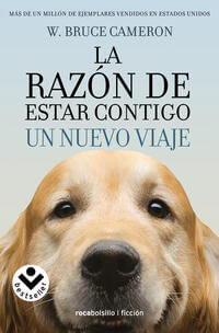 c070db90-2315-4f1c-ab6d-28836526acbb