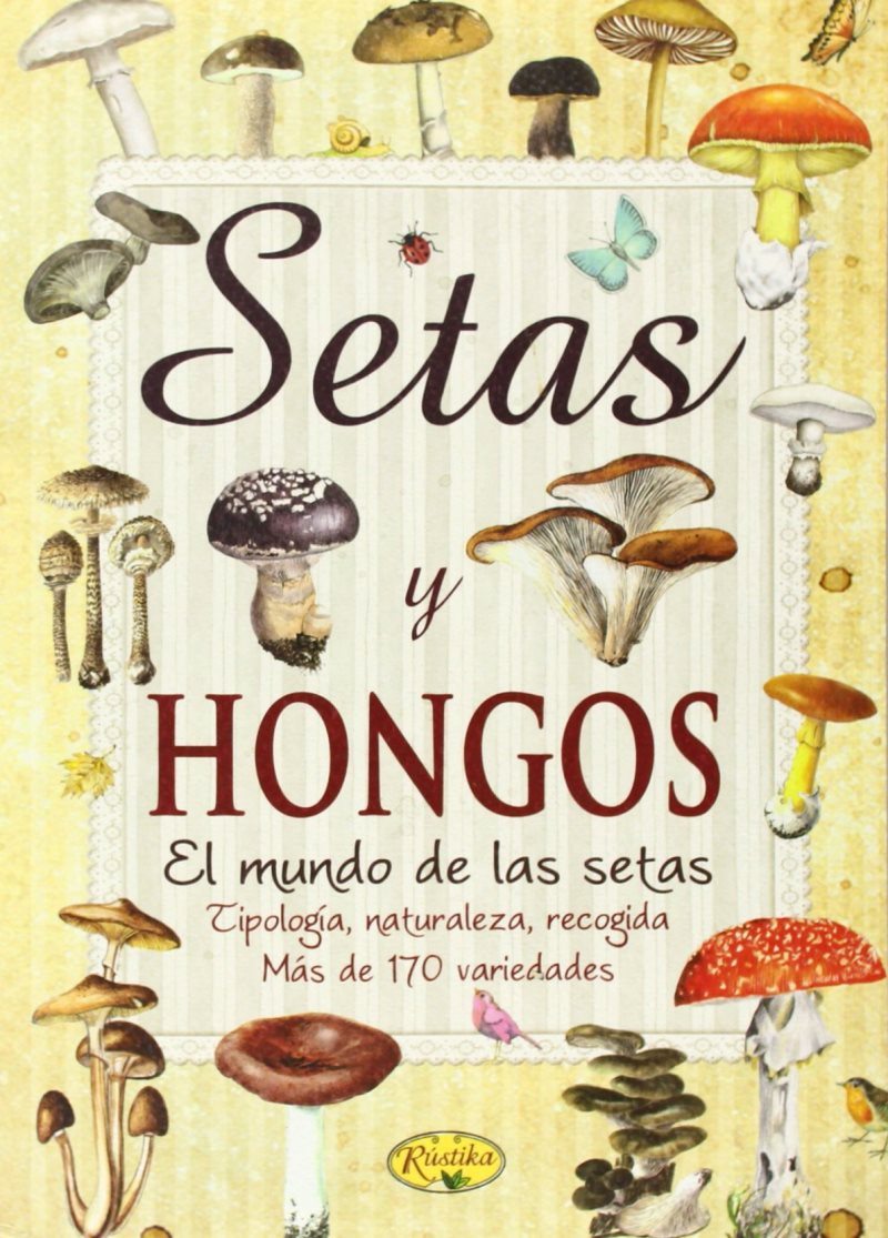 77e59df5-6494-4c55-a4a1-15b53ab240c2