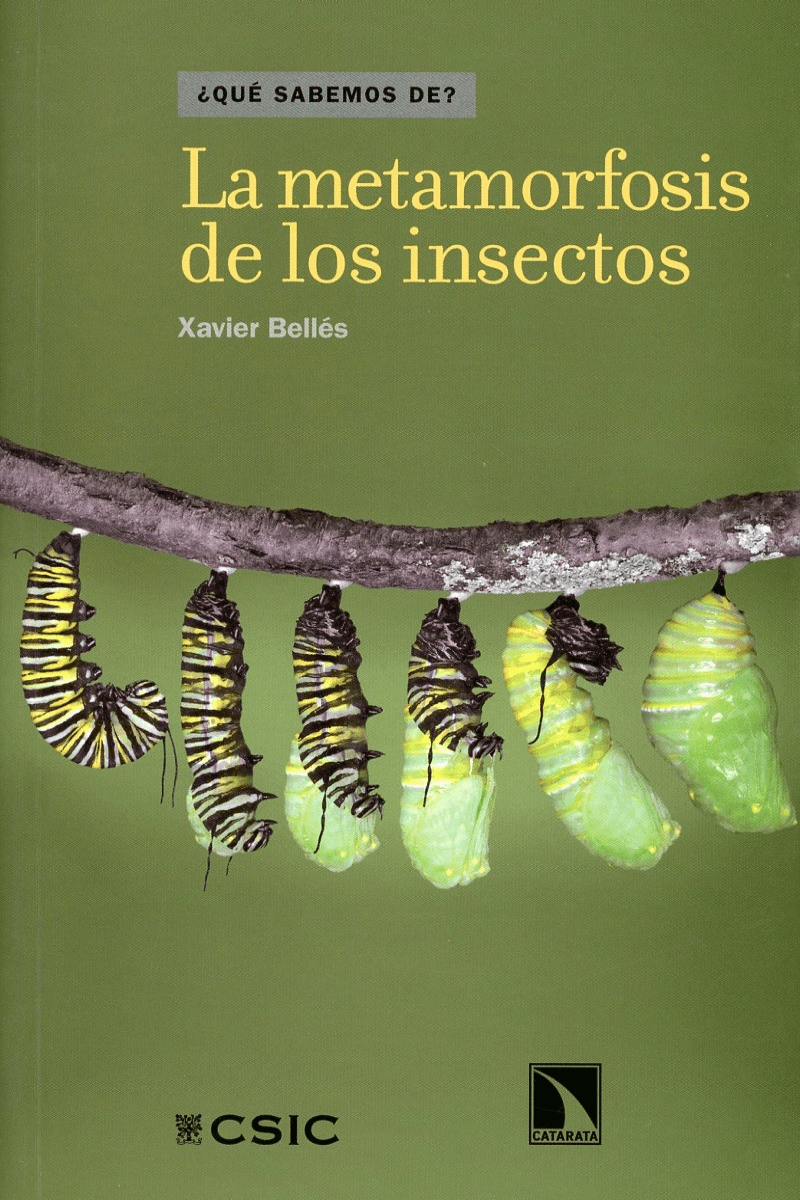 0b5e6090-f626-4fa0-b558-dcd52b0b68b3