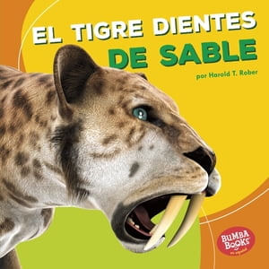 70fad521-2567-4f6b-9921-5ad6c27ab630