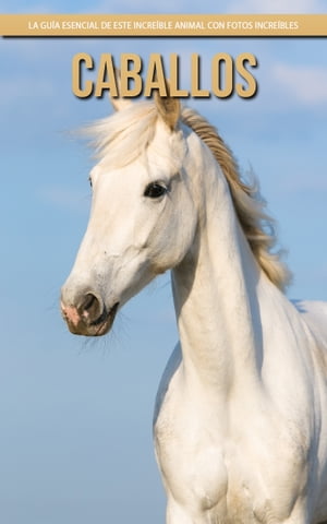 1f221ef2-b4eb-4ee3-9b3c-5f16901ffeeb