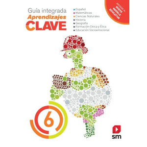 Aprendizajes Clave 6
