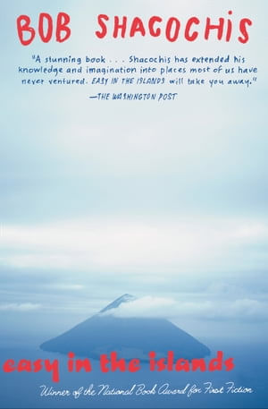 49b80e8b-bd80-407e-83e6-db8c3960f2d7