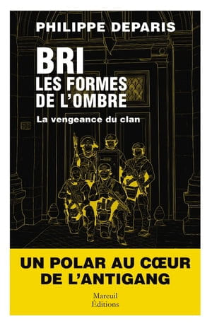 BRI les formes de l'ombre (Philippe Deparis) main image 0
