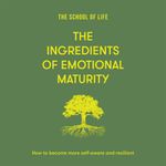 Vista Frontal