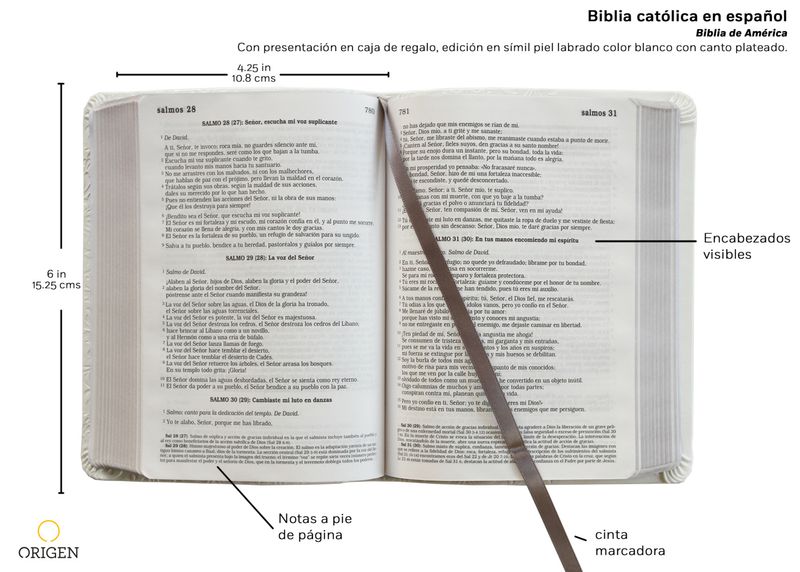 Vista Alterna 6